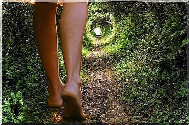 Feet walking through forest symbolizing Beethoven's habit to enhance creativity