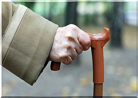 Cane Fu: the new martial discipline for the elderly