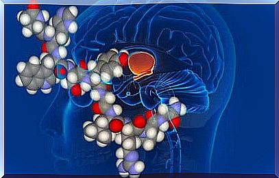 Vasopressin in the brain, corticosteroids