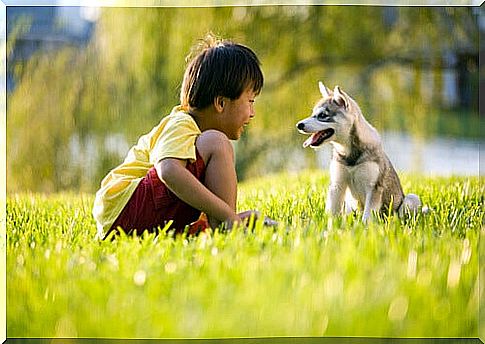 Asian child with a dog