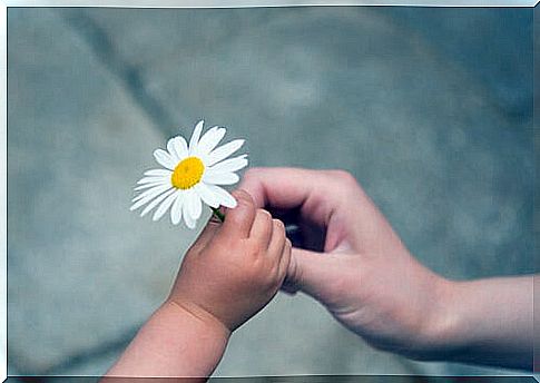 Mother giving a daisy to her son