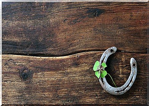 Horseshoe with four leaf clover