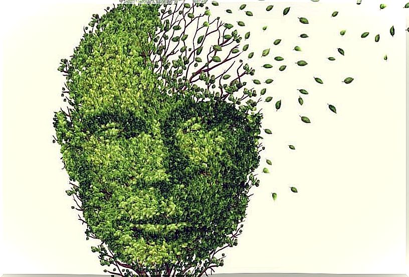 Figure made of leaves representing memory loss due to stress