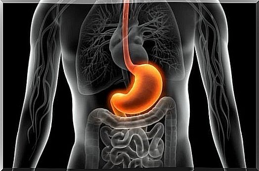 digestive system suffering from stress and gastritis