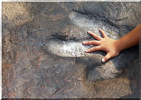 Boy putting hand on a dinosaur footprint